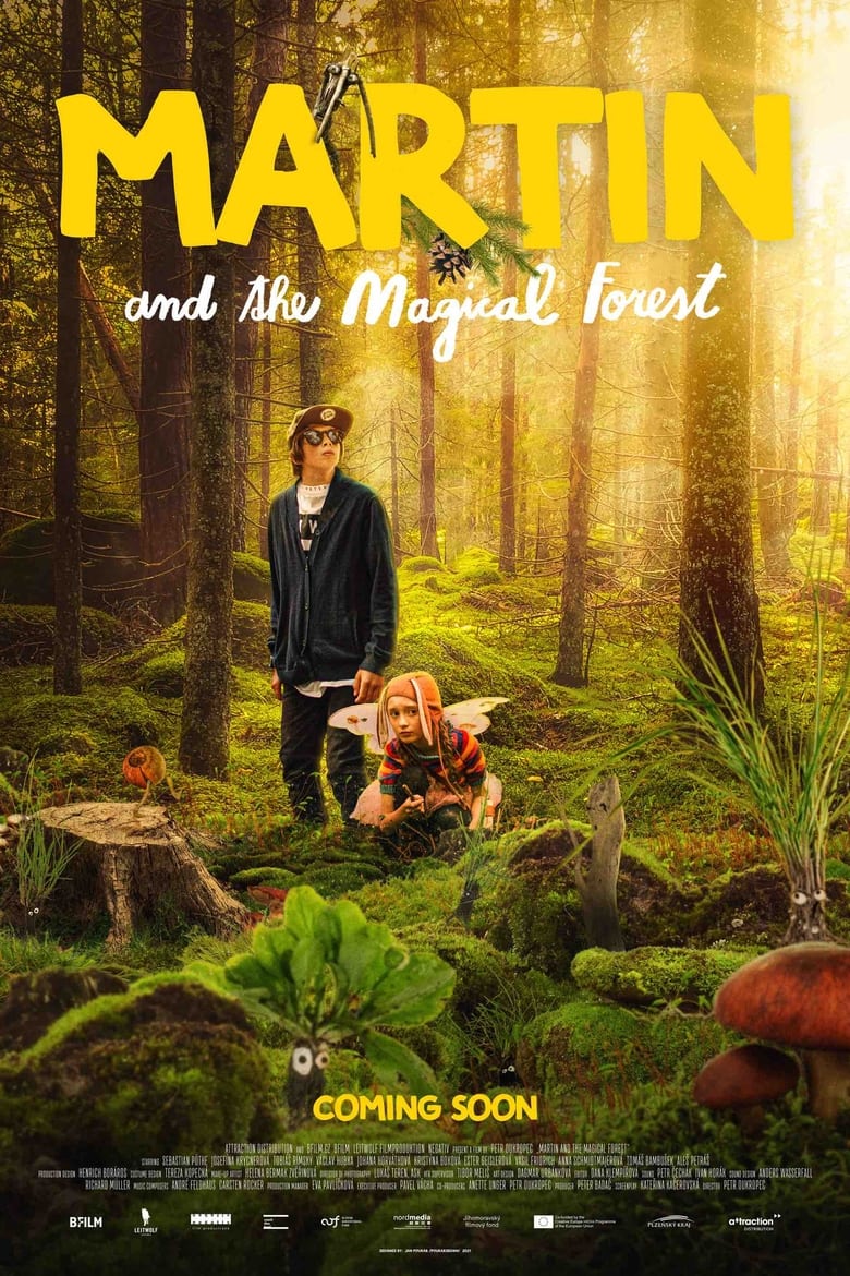 Poster of Martin and the Magical Forest