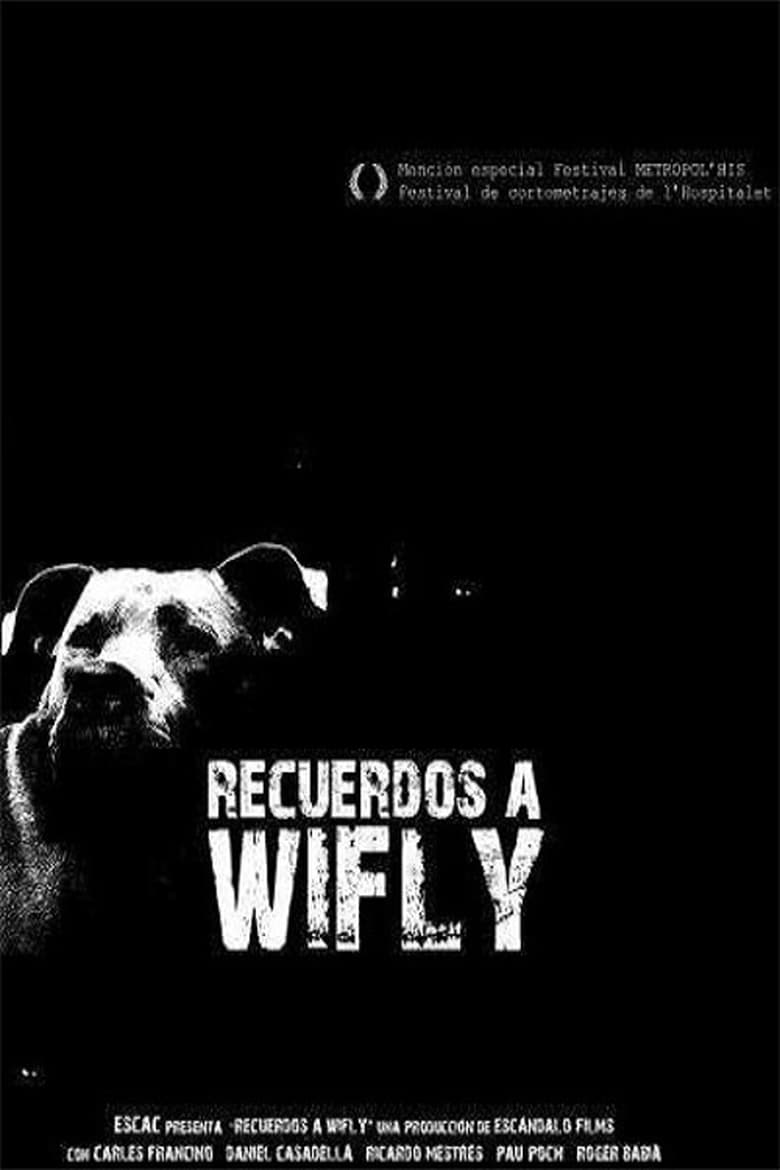 Poster of Recuerdos a Wifly