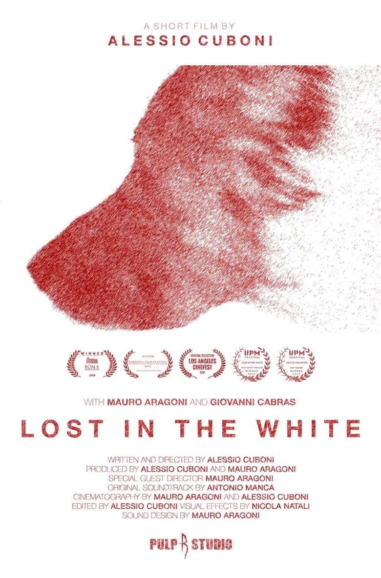 Poster of Lost in the White