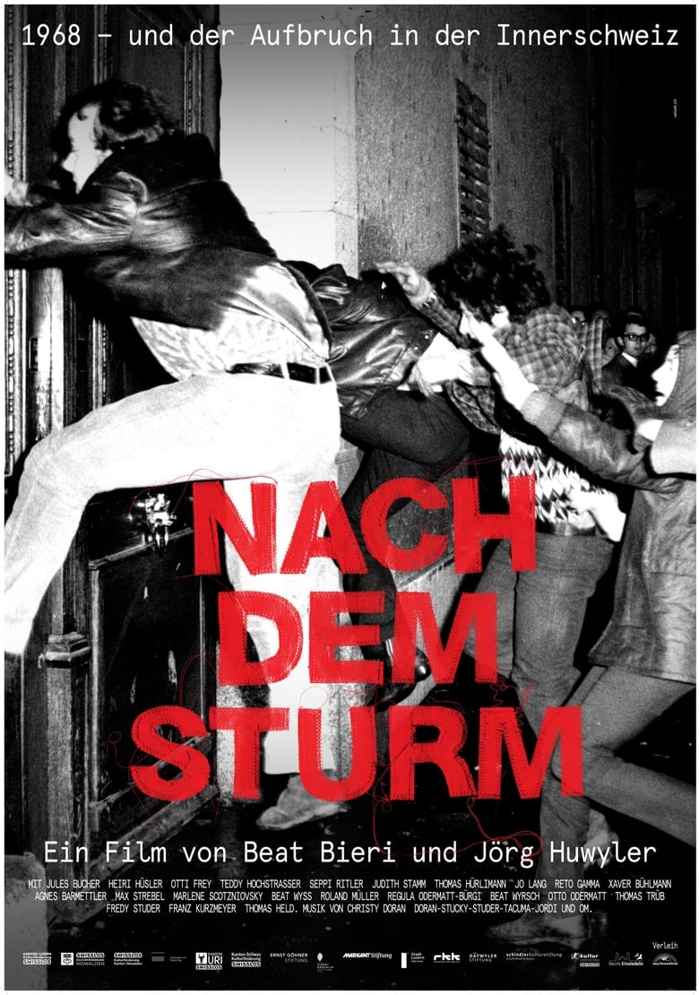 Poster of Nach dem Sturm