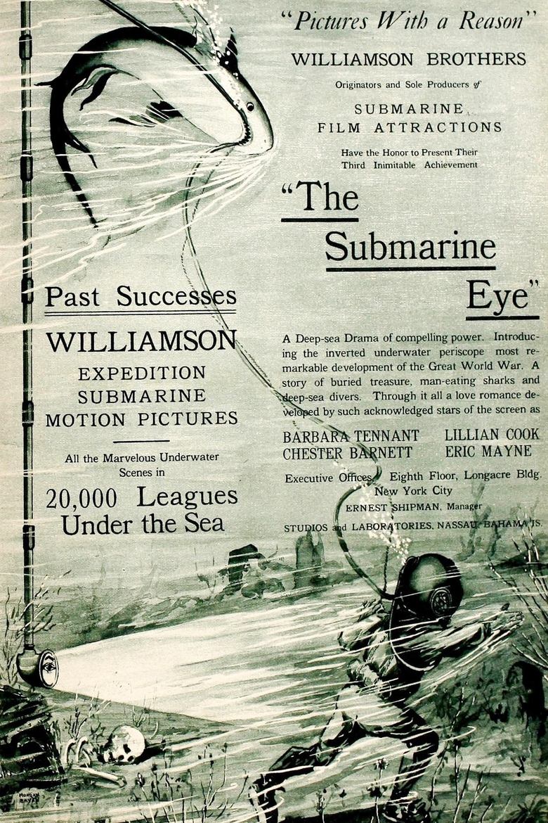 Poster of The Submarine Eye