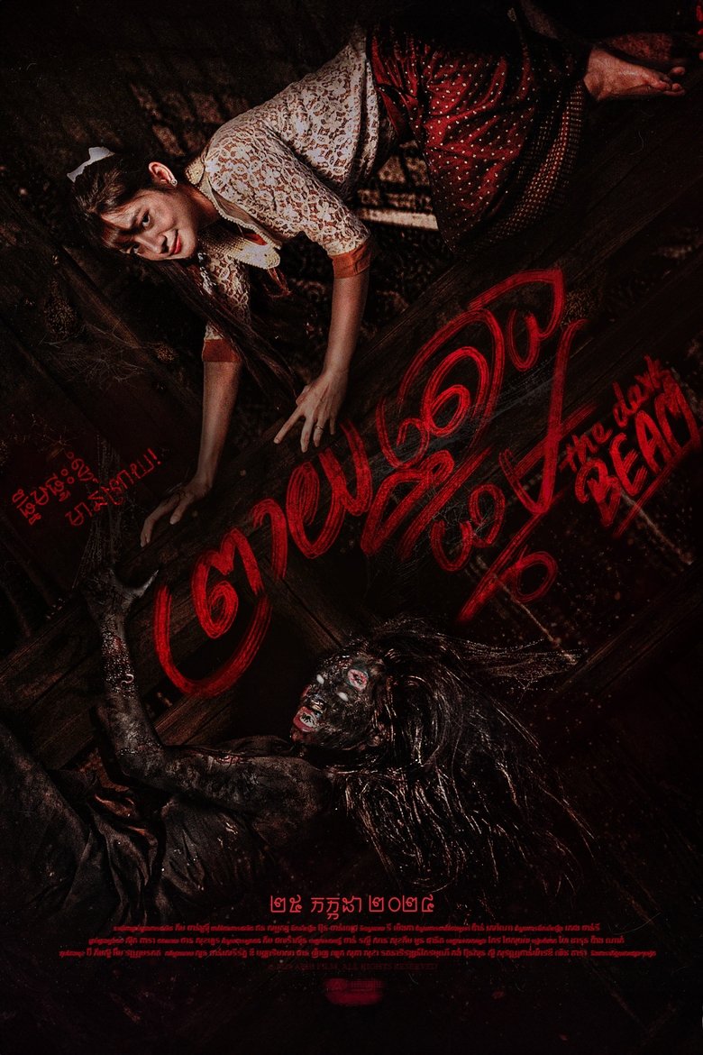 Poster of The Dark Beam