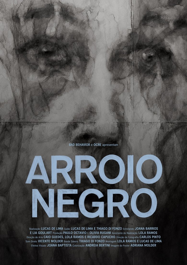 Poster of Arroio Negro