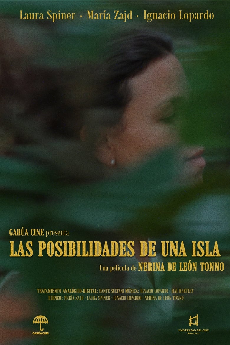 Poster of Las Posibilidades de una Isla