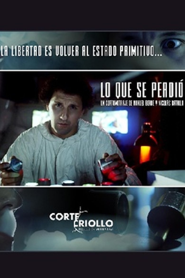 Poster of Lo que se perdió