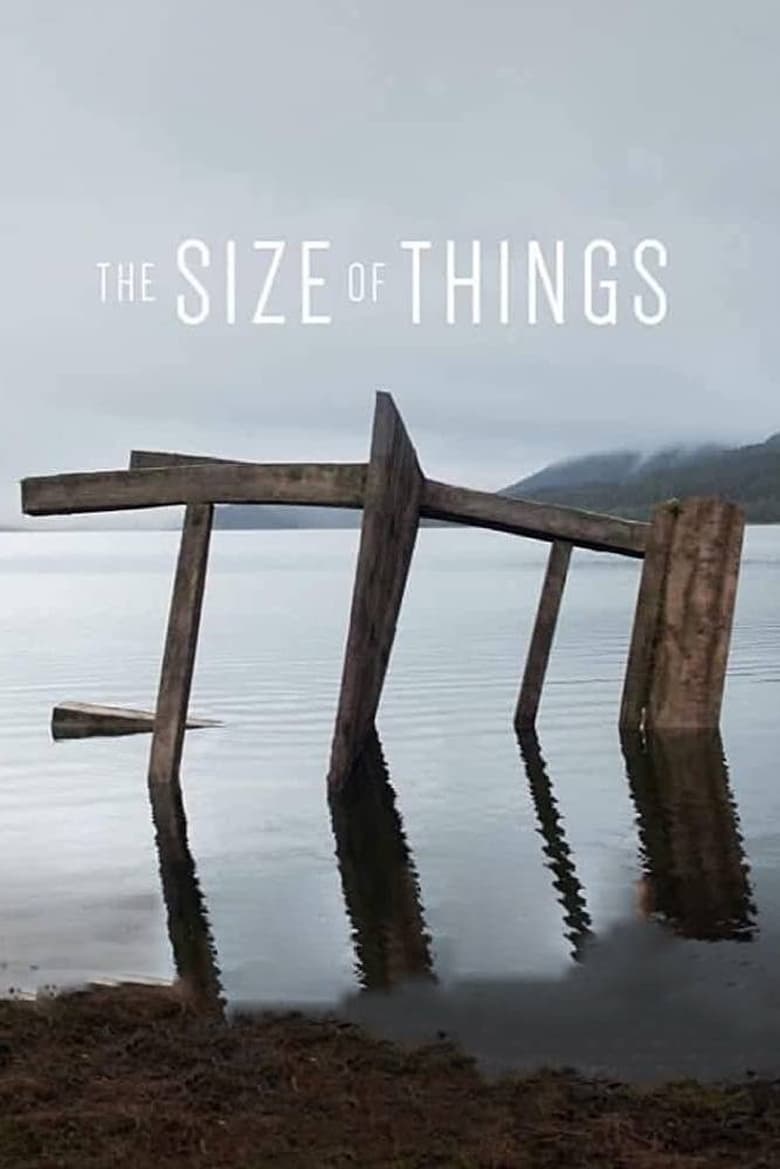 Poster of The Size of Things