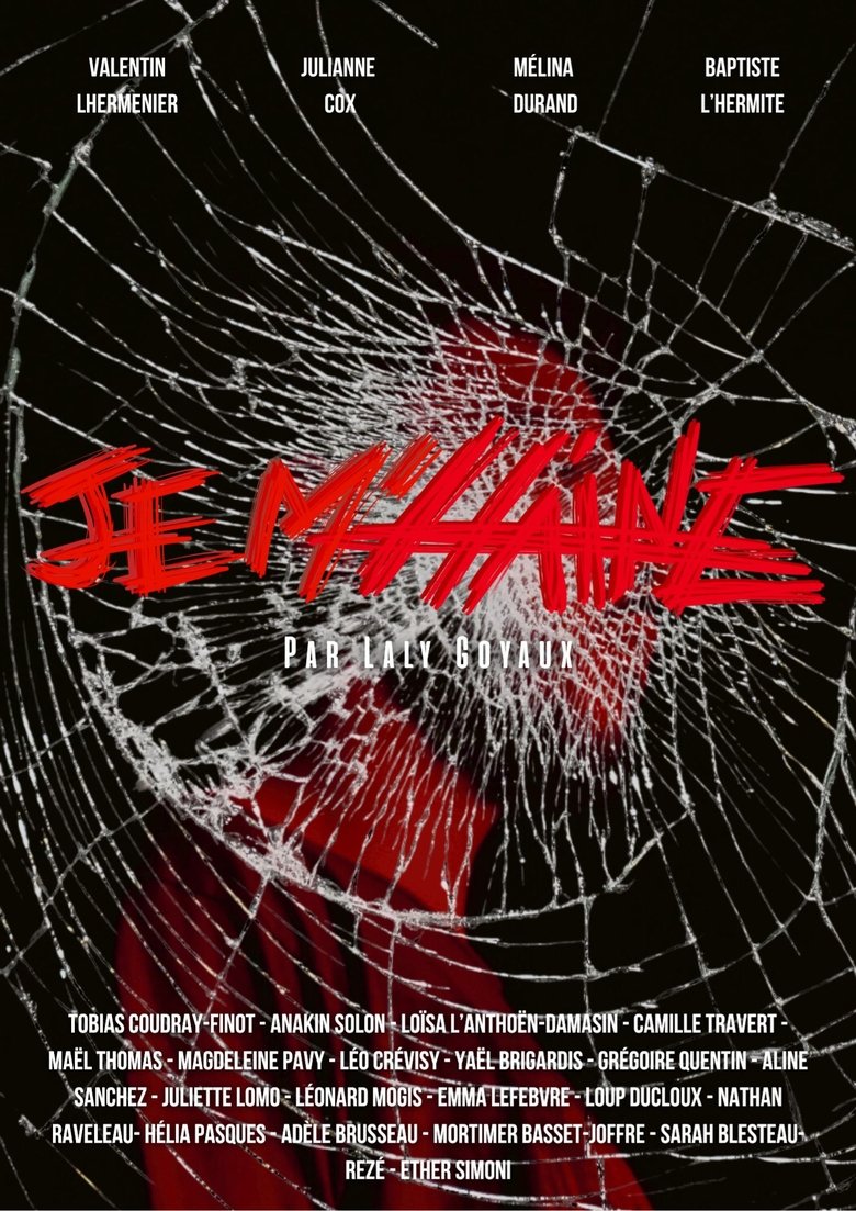 Poster of Je m'Haine