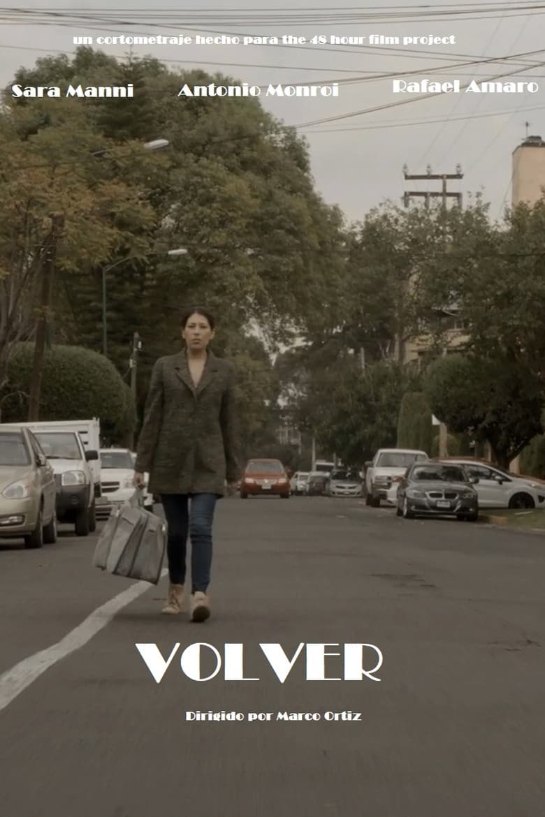 Poster of Volver