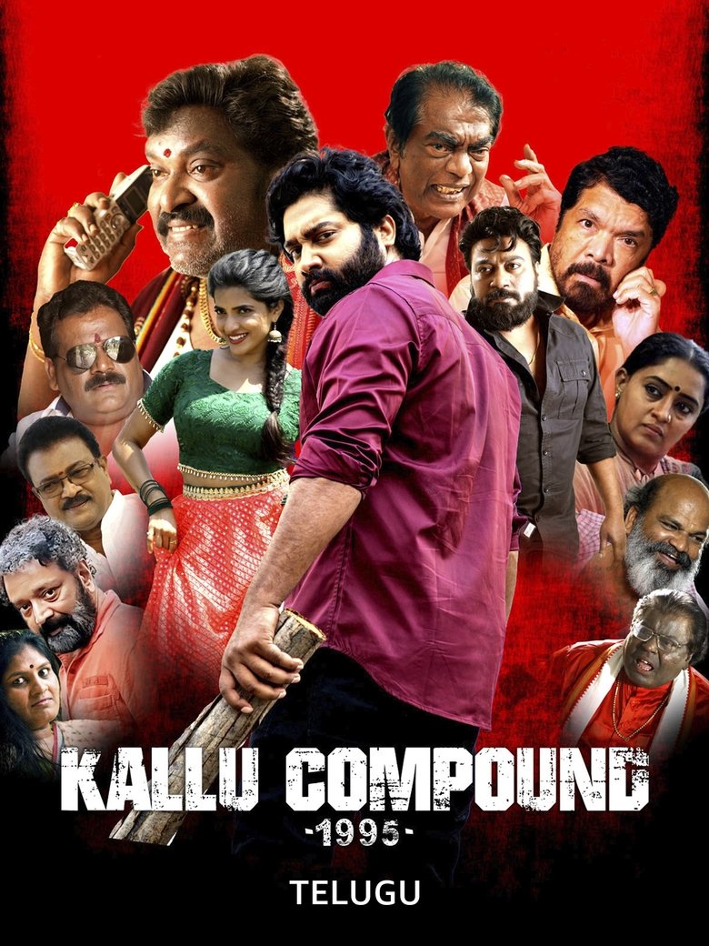 Poster of Kallu Compound 1995
