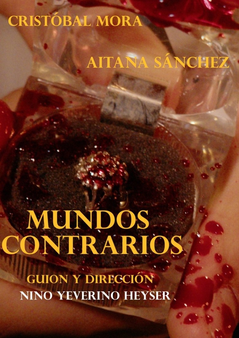 Poster of Mundos Contrarios