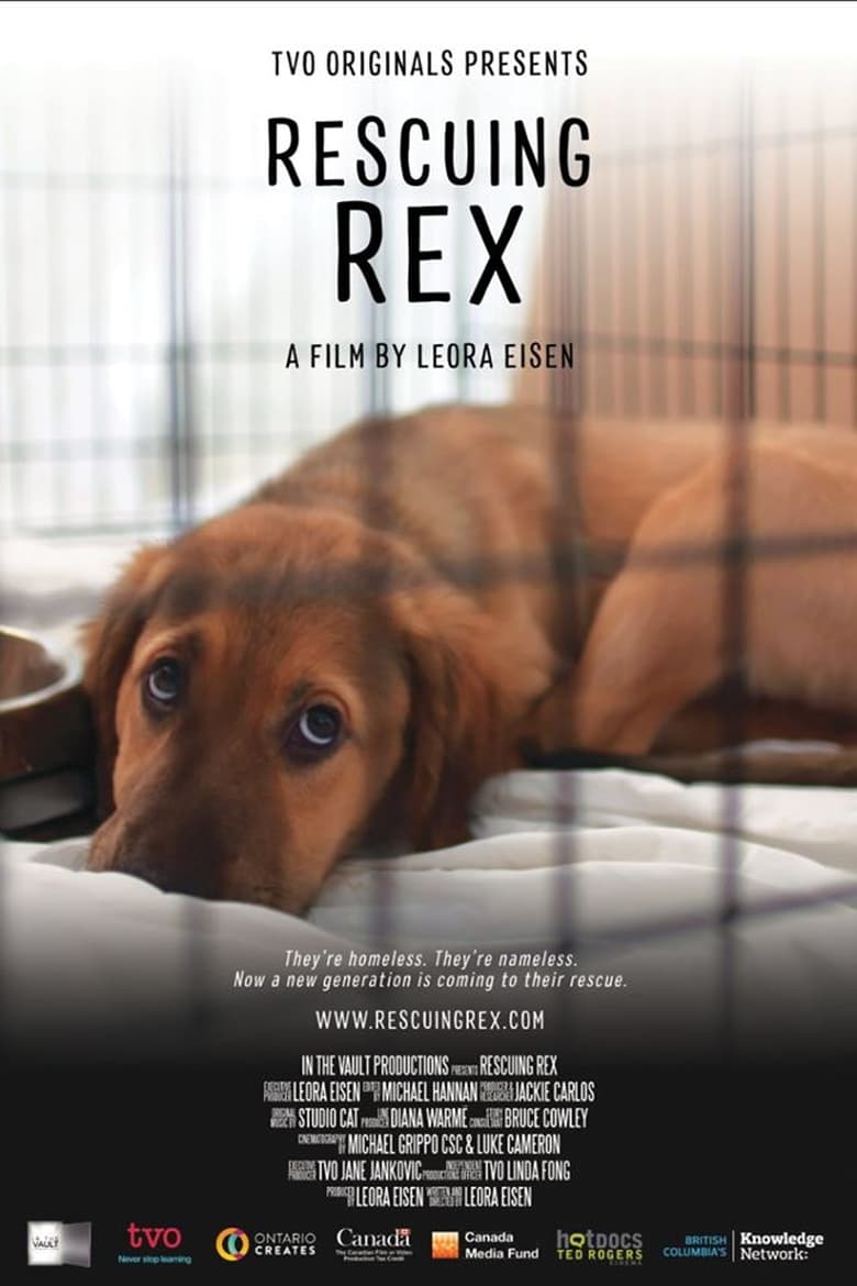 Poster of Rescuing Rex