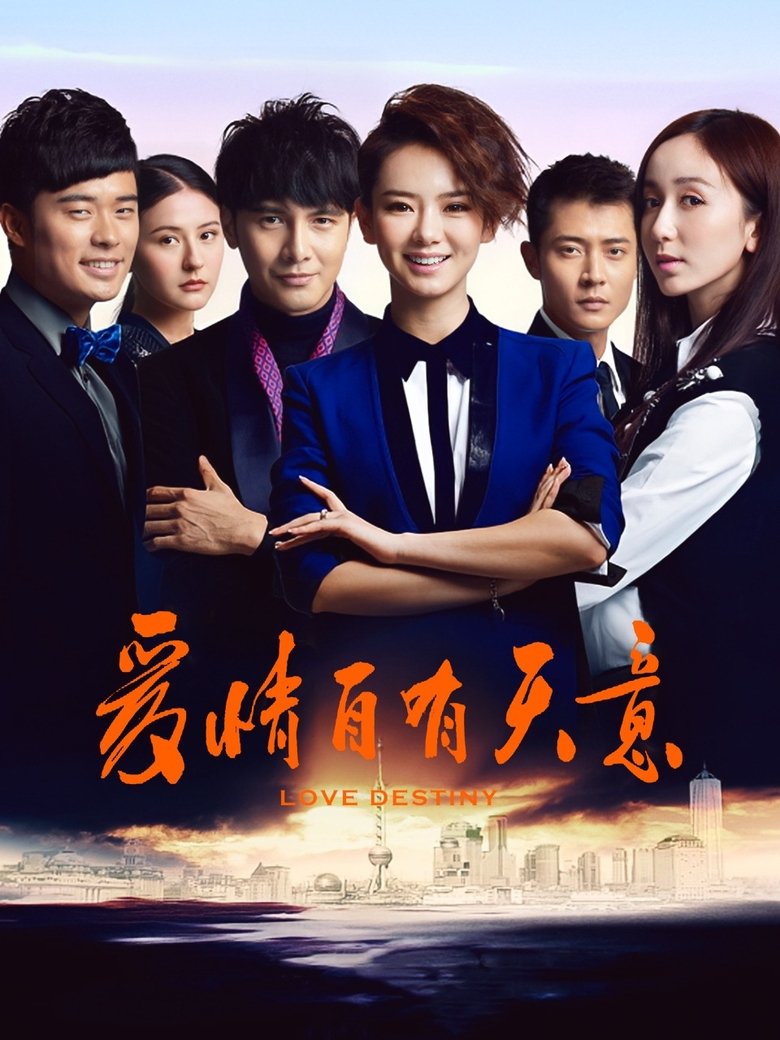 Poster of 爱情自有天意