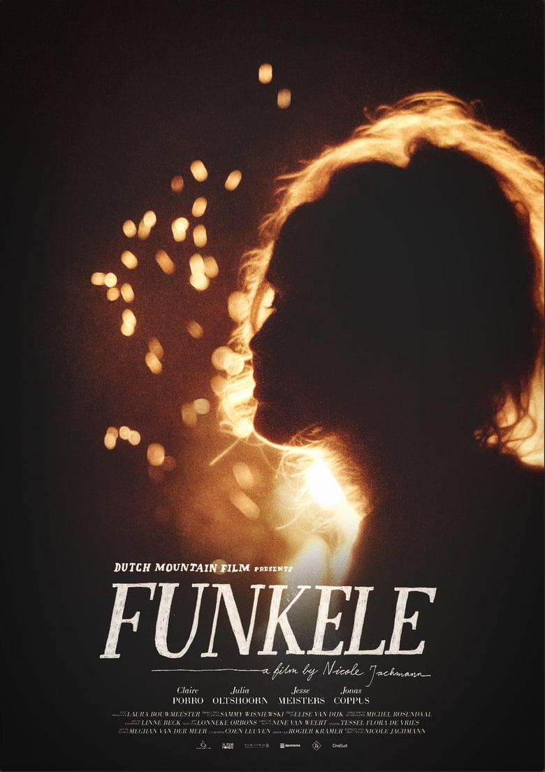 Poster of Funkele