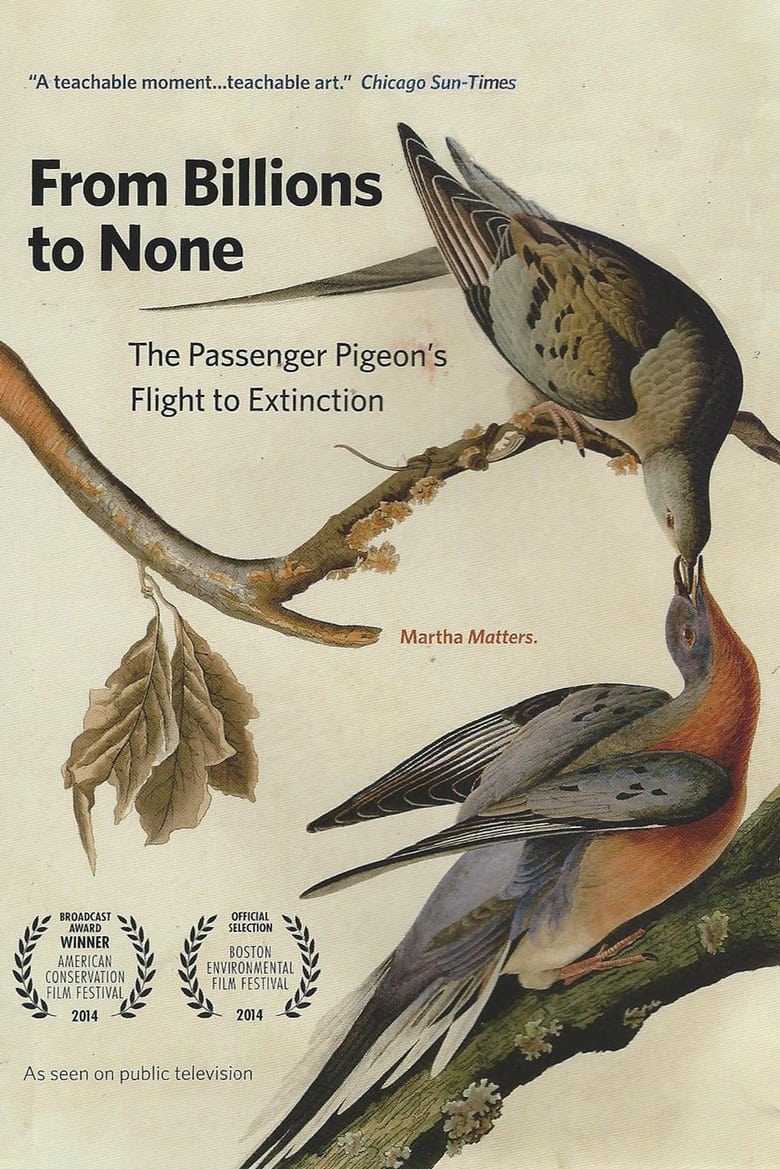 Poster of From Billions to None: The Passenger Pigeon's Flight to Extinction