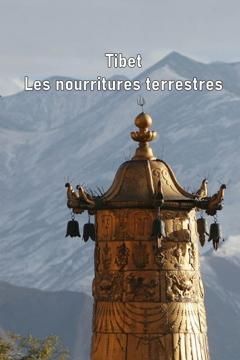 Poster of Tibet - Les nourritures terrestres