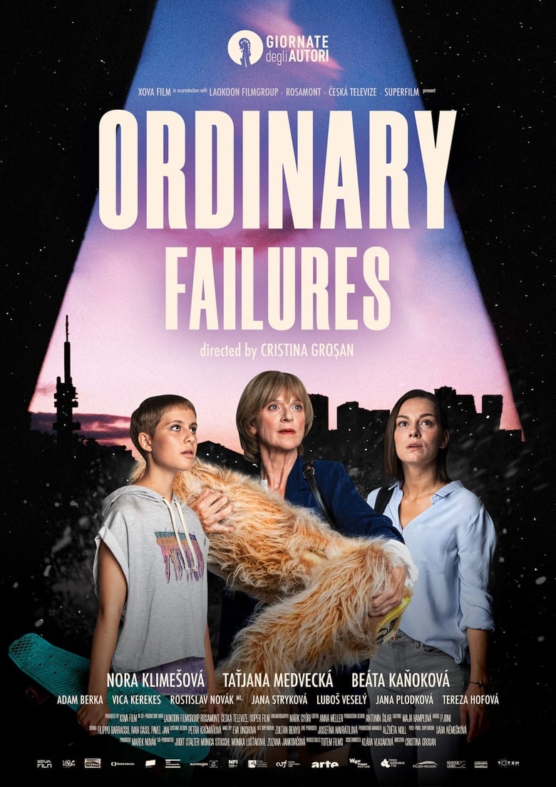 Poster of Ordinary Failures