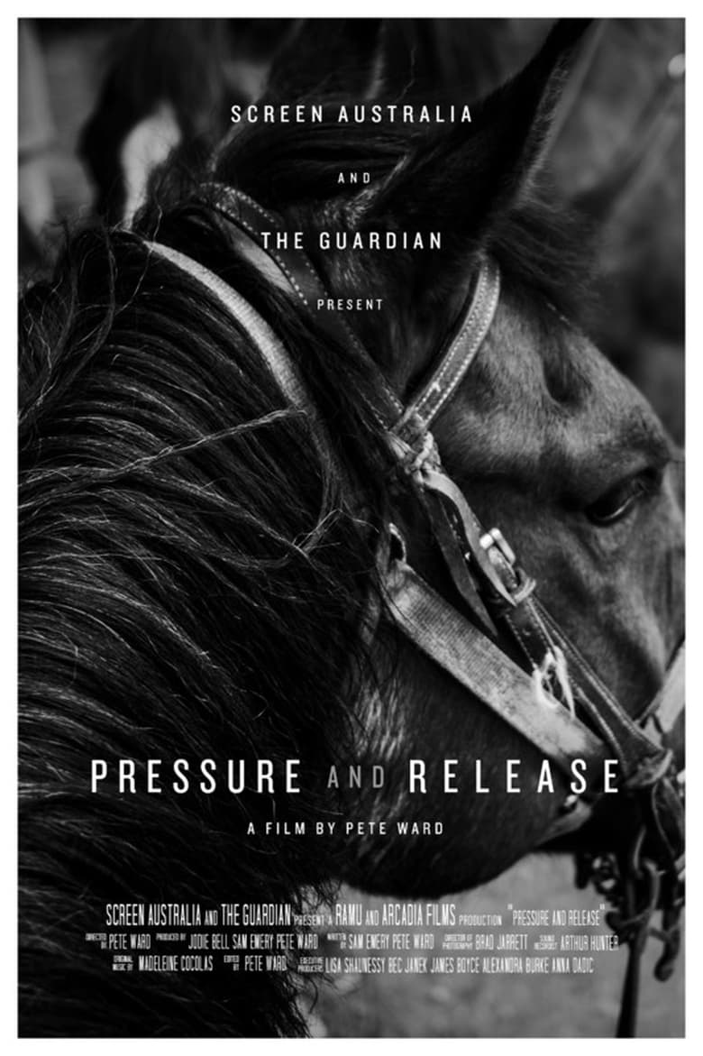 Poster of Pressure and Release