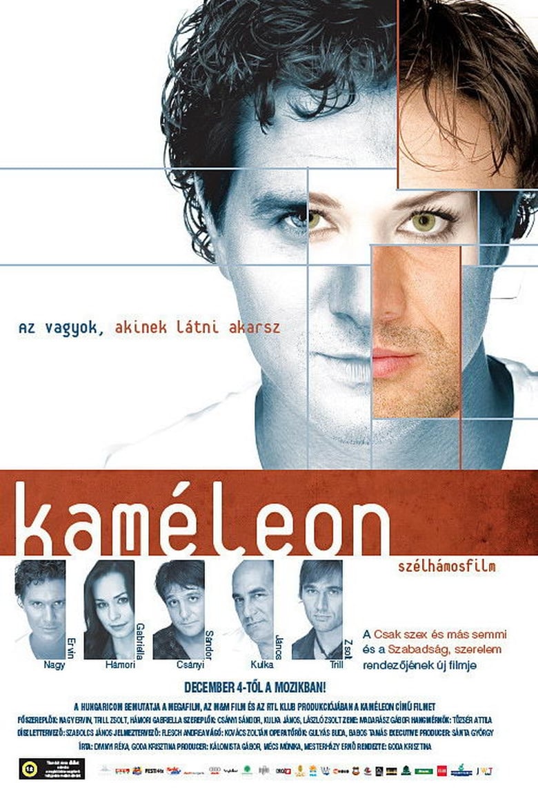 Poster of Chameleon