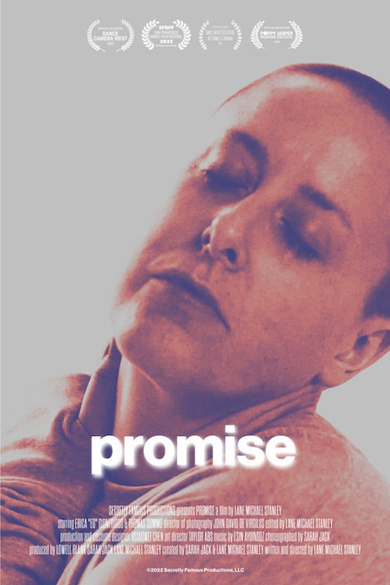 Poster of Promise