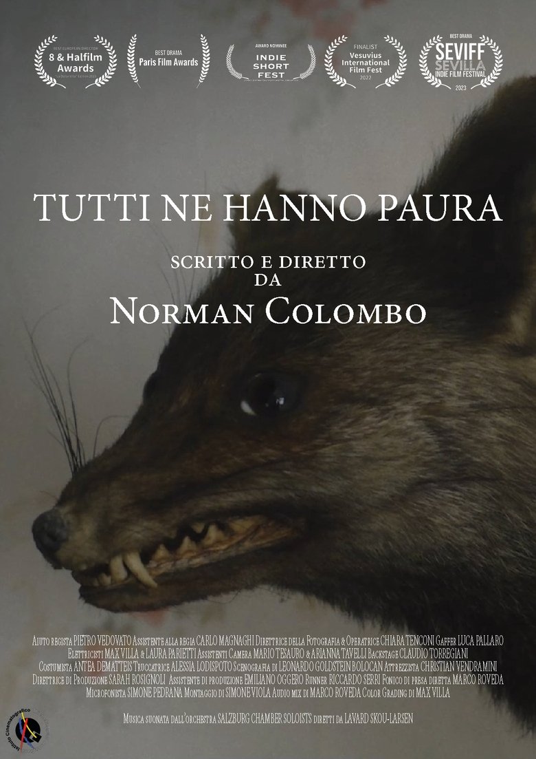 Poster of Tutti ne hanno paura