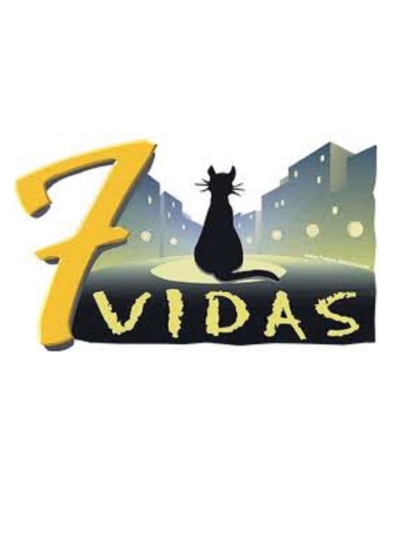Poster of Episodes in 7 Vidas - Season 10 - Season 10