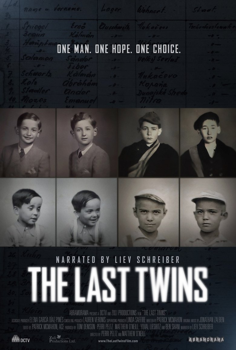 Poster of The Last Twins