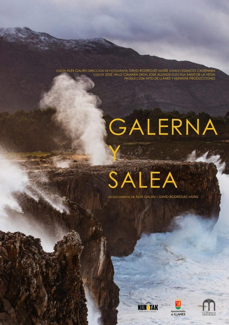 Poster of Galerna y salea
