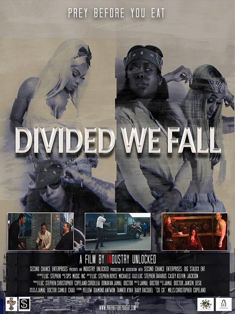 Poster of Divided We Fall