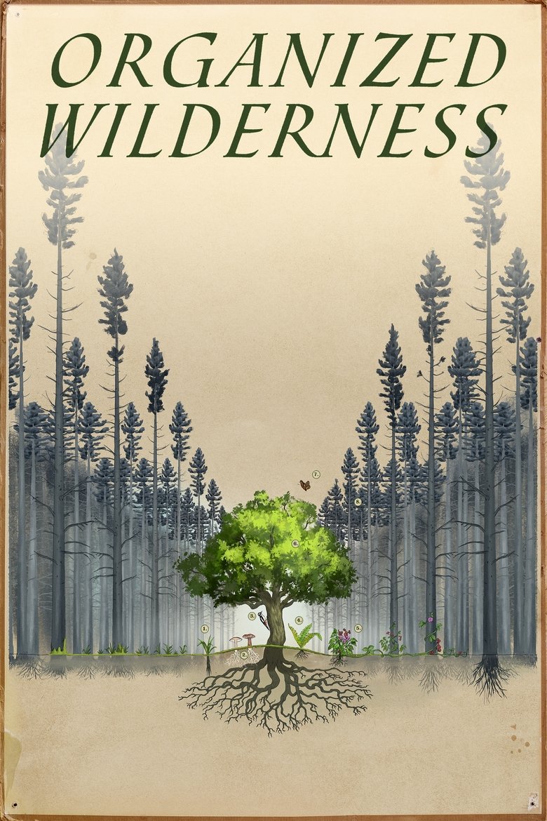 Poster of Organized Wilderness