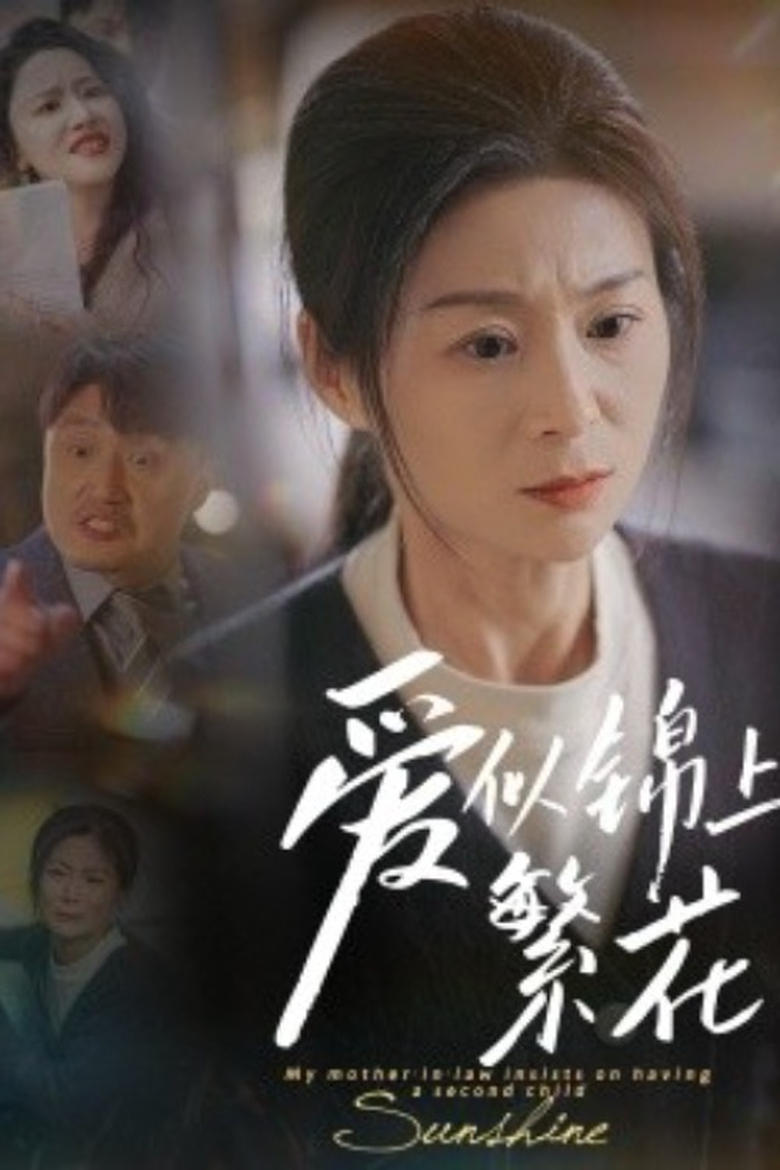 Poster of 爱似锦上繁花