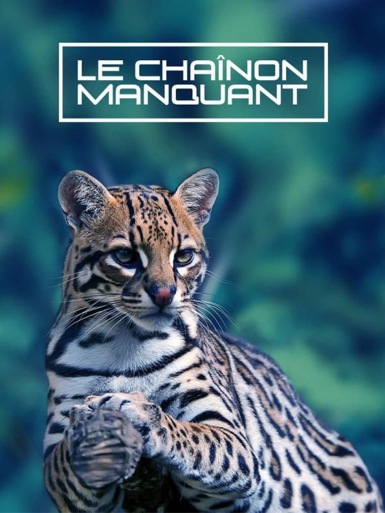 Poster of Le Chaînon Manquant