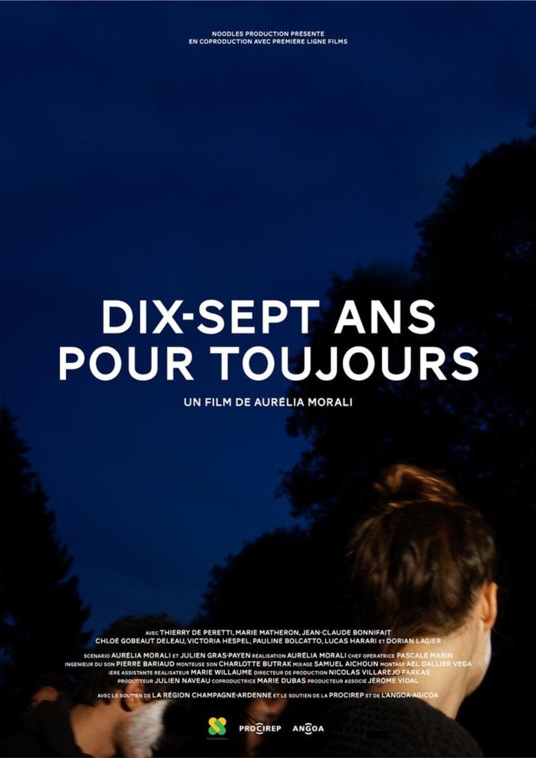 Poster of Dix-sept ans pour toujours