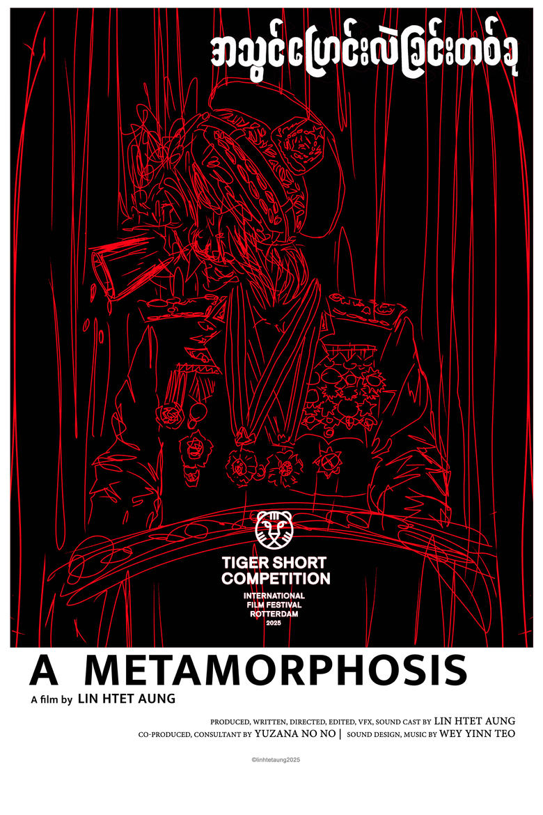 Poster of A Metamorphosis