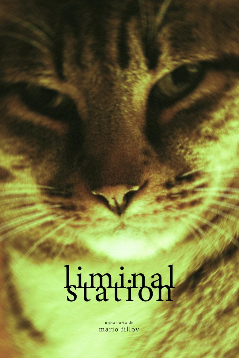 Poster of Liminal Station