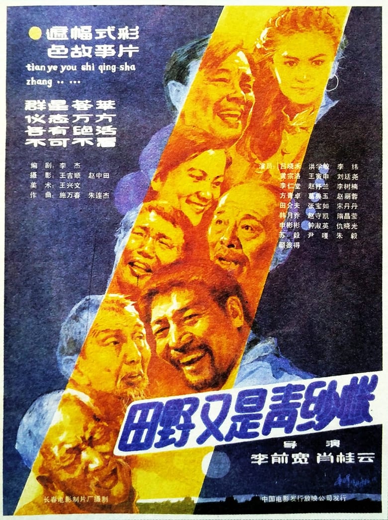 Poster of 田野又是青纱帐