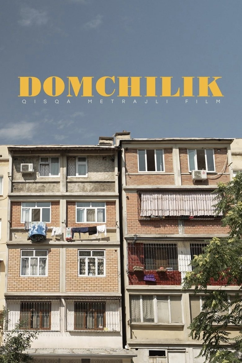 Poster of Domchilik