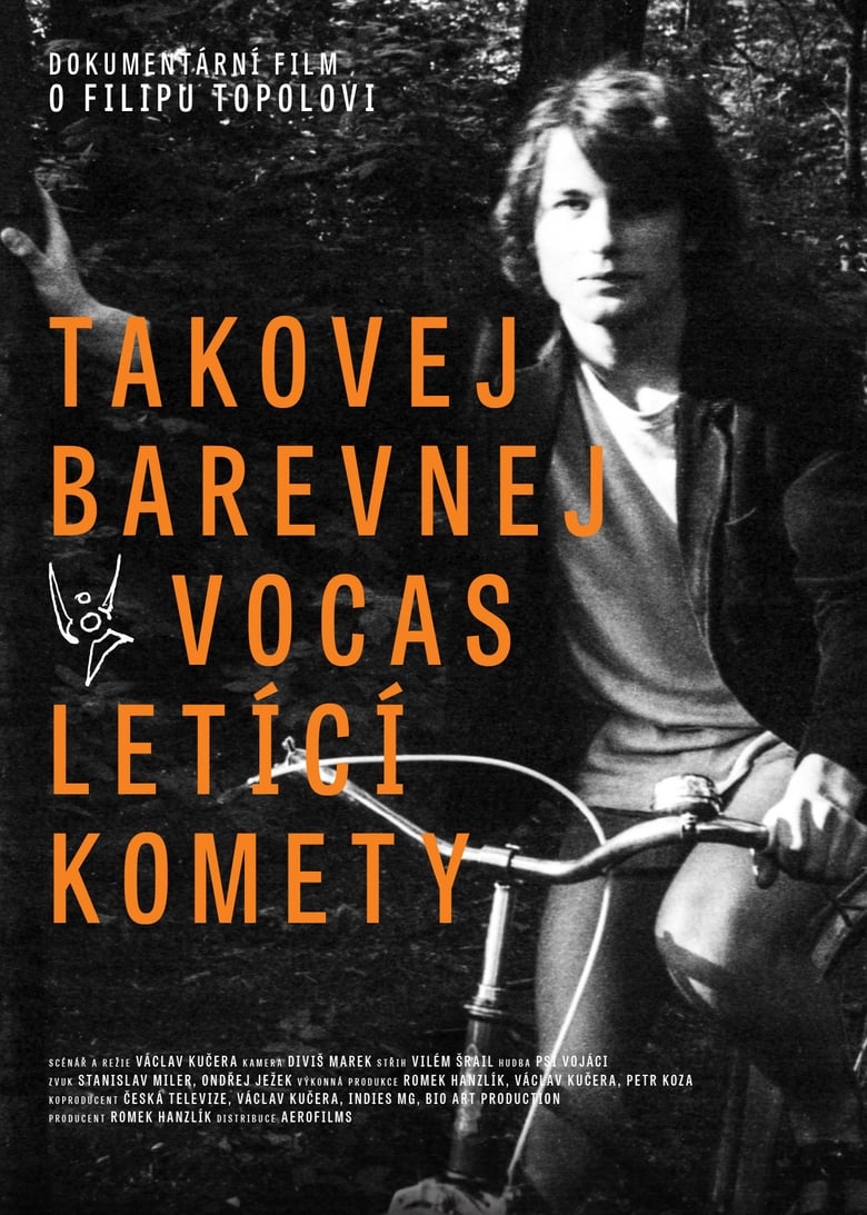 Poster of Takovej barevnej vocas letící komety