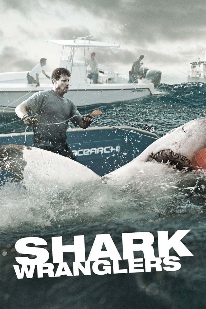 Poster of Shark Wranglers