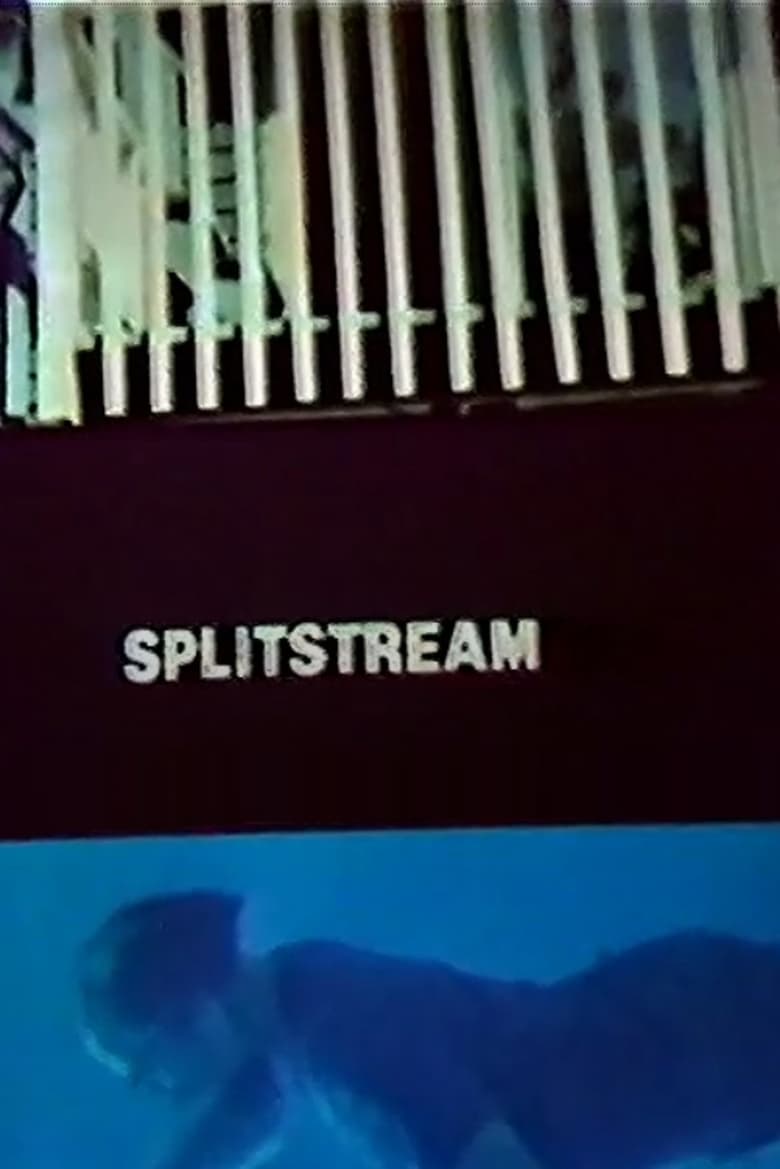 Poster of Splitstream