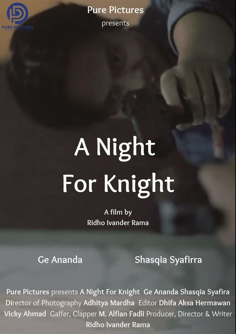 Poster of A Night For Knight