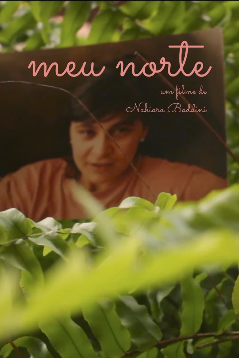 Poster of Meu Norte