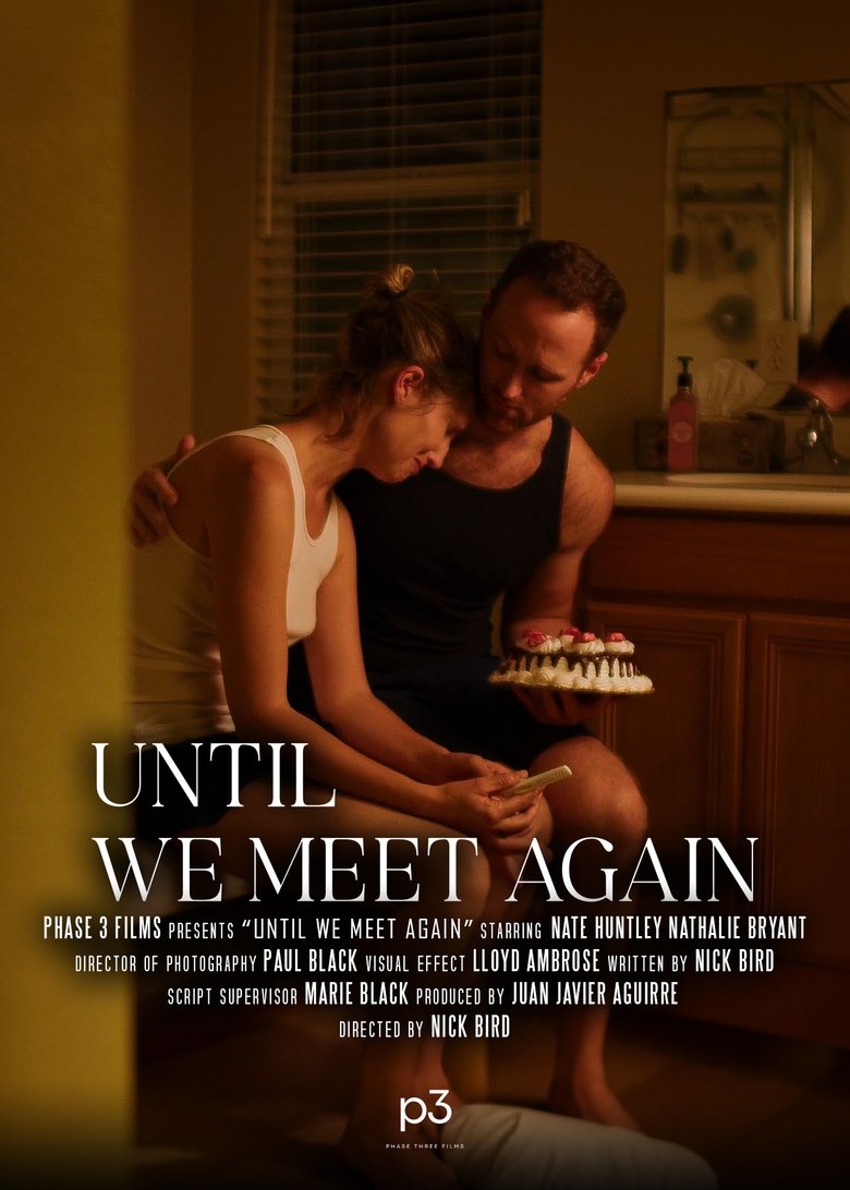 Poster of Until We Meet Again