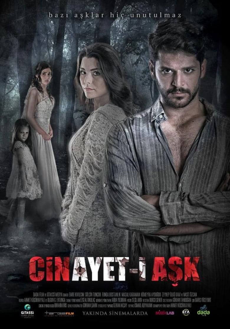 Poster of Cinayet-i Aşk