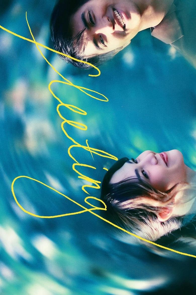 Poster of Fleeting
