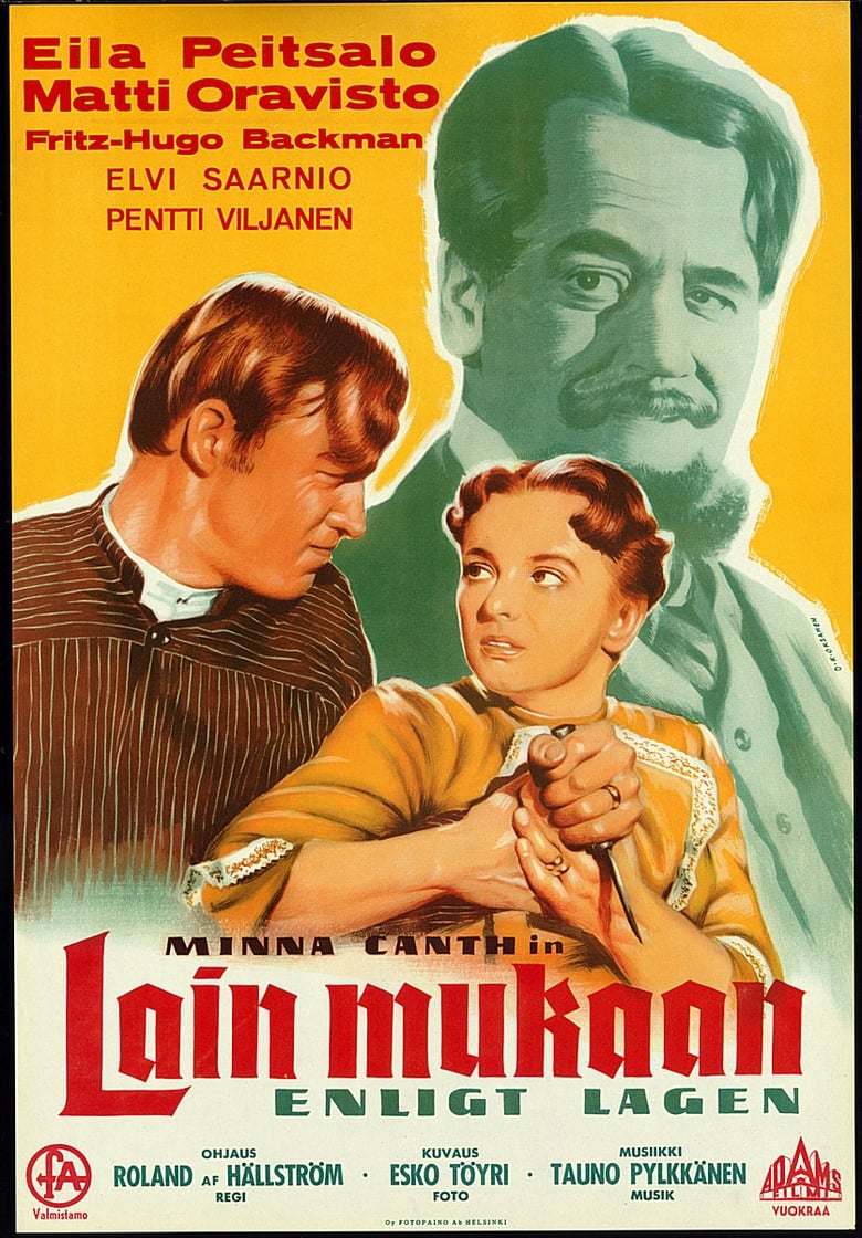 Poster of Lain mukaan