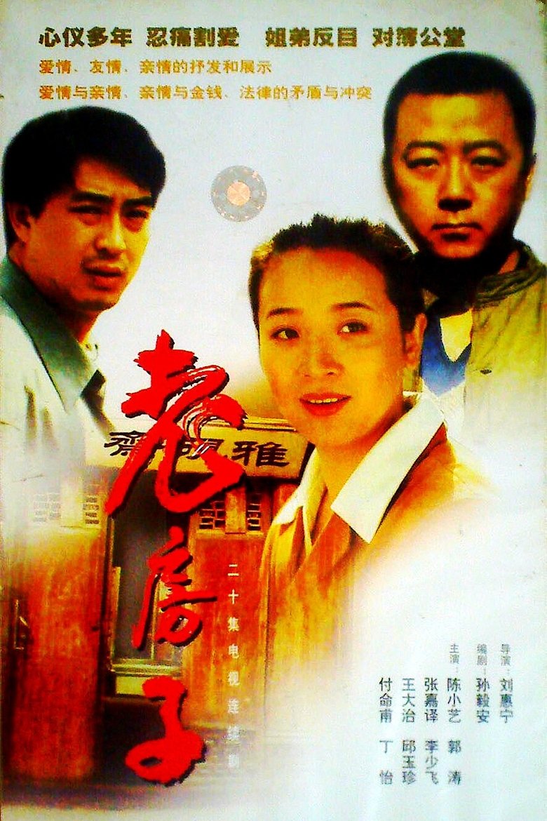 Poster of 老房子