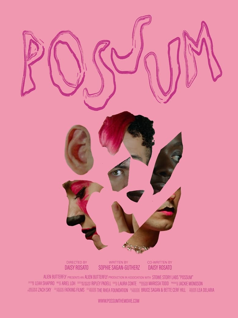 Poster of POSSUM