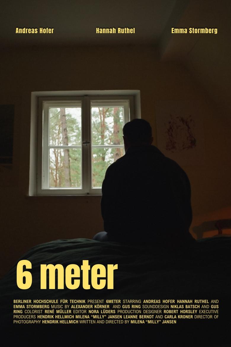 Poster of 6 Meter