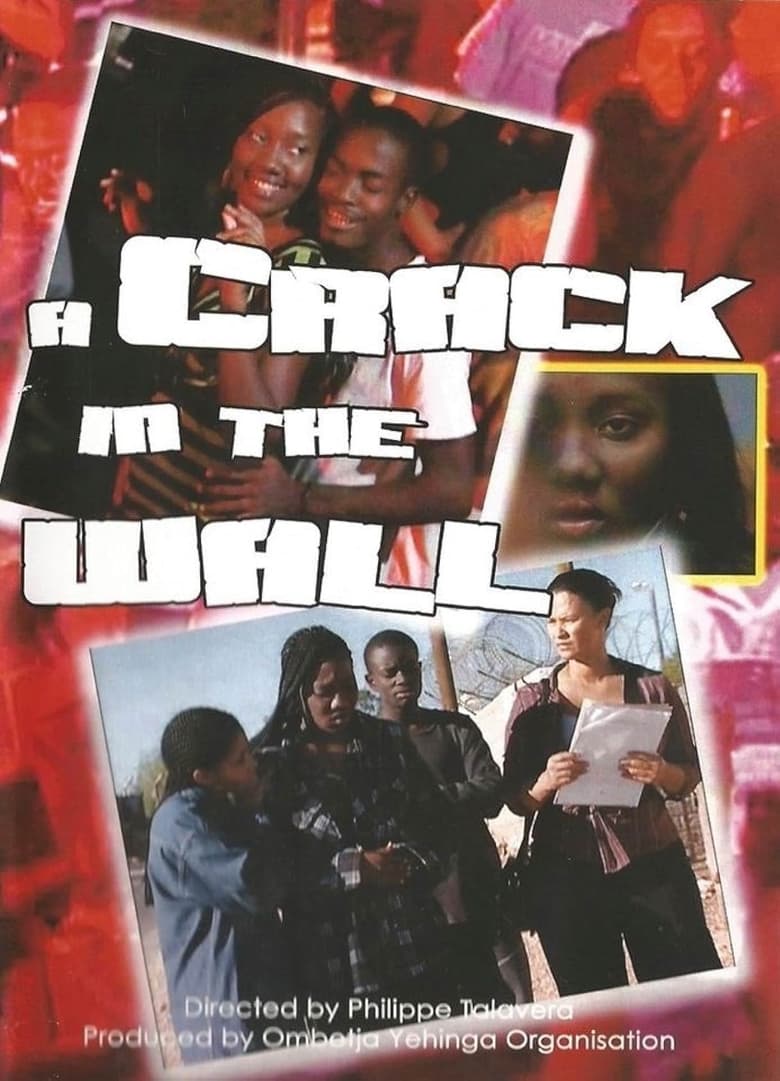 Poster of A Crack in the Wall