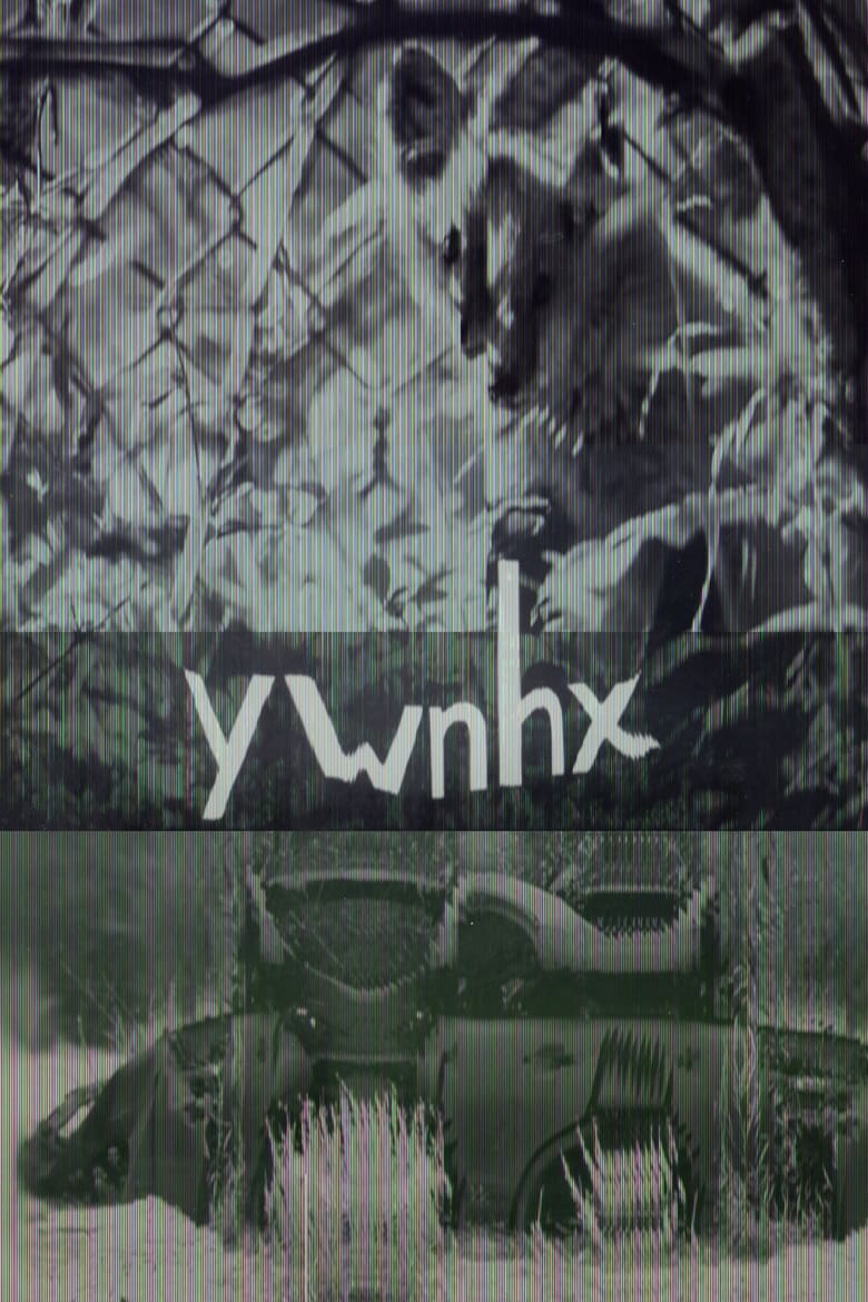 Poster of ywnhx